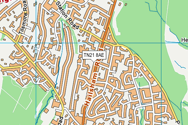 TN21 8AE map - OS VectorMap District (Ordnance Survey)