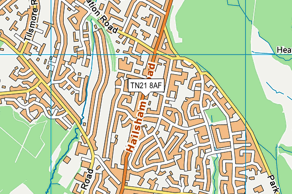 TN21 8AF map - OS VectorMap District (Ordnance Survey)