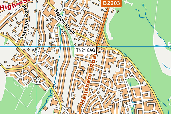 TN21 8AG map - OS VectorMap District (Ordnance Survey)