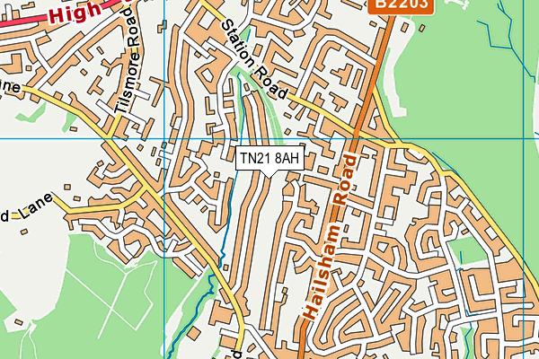 TN21 8AH map - OS VectorMap District (Ordnance Survey)