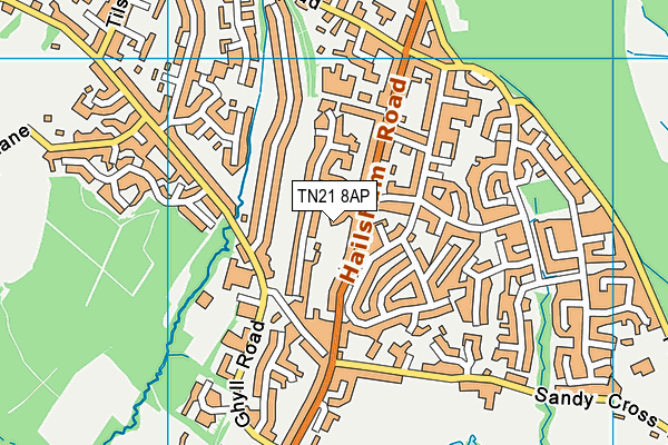 TN21 8AP map - OS VectorMap District (Ordnance Survey)