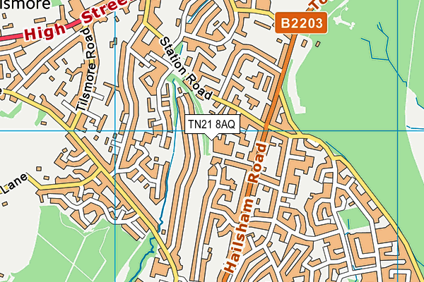 TN21 8AQ map - OS VectorMap District (Ordnance Survey)