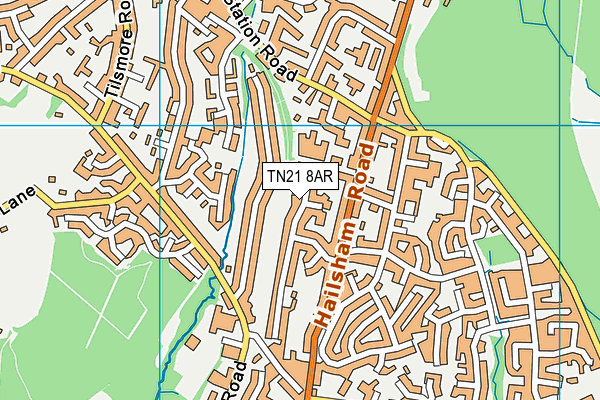 TN21 8AR map - OS VectorMap District (Ordnance Survey)