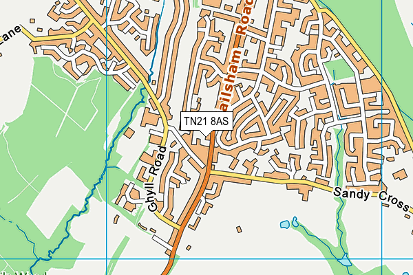 TN21 8AS map - OS VectorMap District (Ordnance Survey)