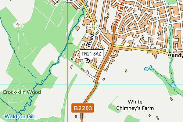 TN21 8AZ map - OS VectorMap District (Ordnance Survey)