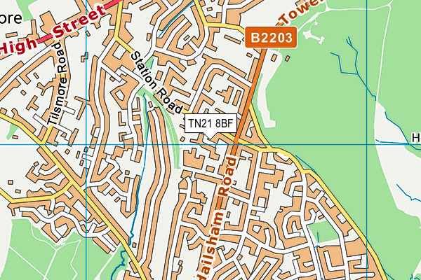 TN21 8BF map - OS VectorMap District (Ordnance Survey)