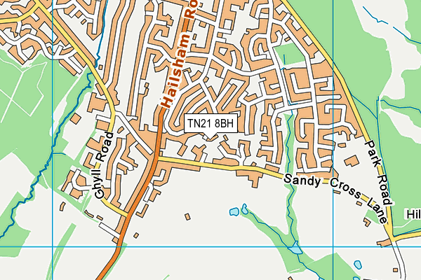 TN21 8BH map - OS VectorMap District (Ordnance Survey)