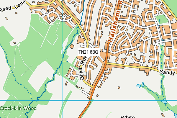 TN21 8BQ map - OS VectorMap District (Ordnance Survey)