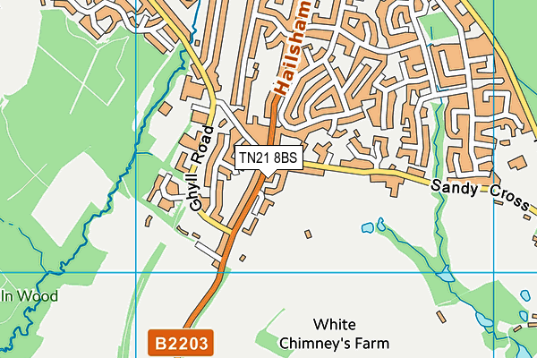 TN21 8BS map - OS VectorMap District (Ordnance Survey)