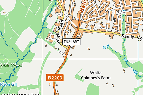 TN21 8BT map - OS VectorMap District (Ordnance Survey)