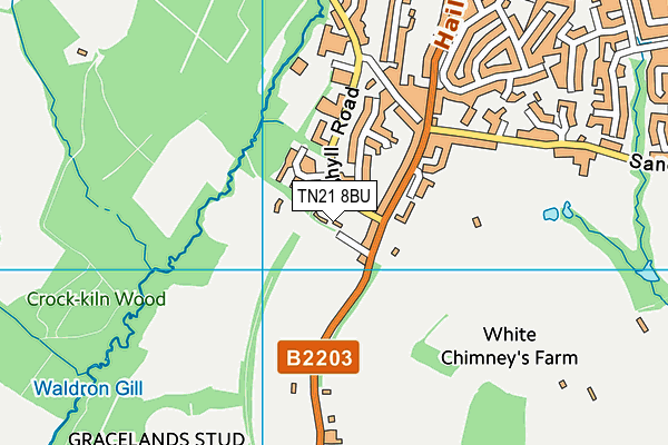 TN21 8BU map - OS VectorMap District (Ordnance Survey)