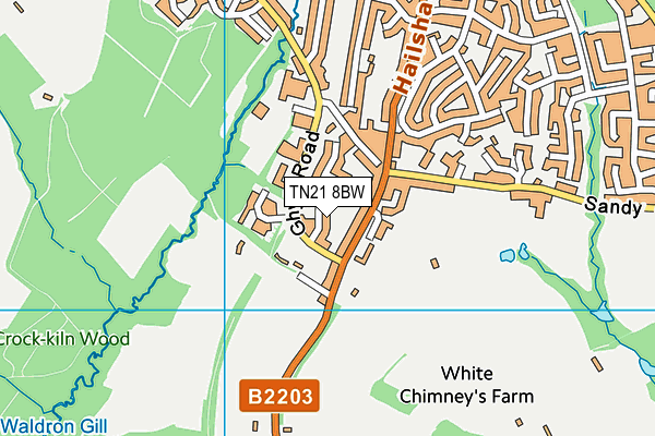 TN21 8BW map - OS VectorMap District (Ordnance Survey)