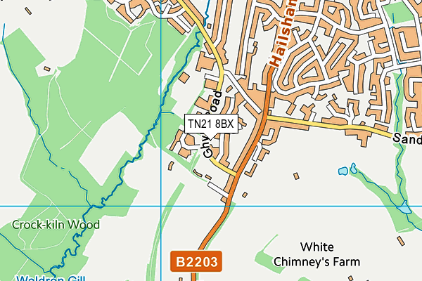 TN21 8BX map - OS VectorMap District (Ordnance Survey)