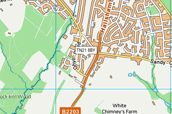TN21 8BY map - OS VectorMap District (Ordnance Survey)