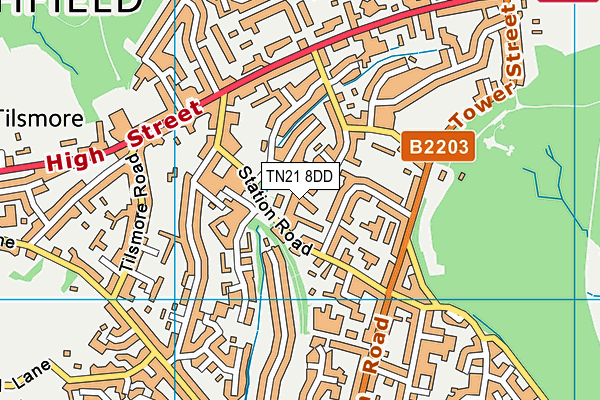 TN21 8DD map - OS VectorMap District (Ordnance Survey)