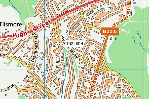 TN21 8DH map - OS VectorMap District (Ordnance Survey)