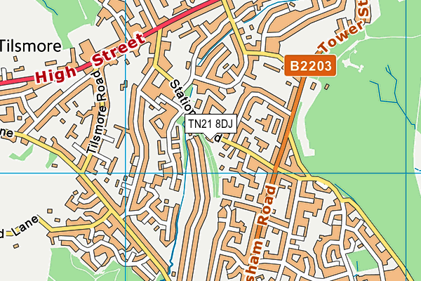 TN21 8DJ map - OS VectorMap District (Ordnance Survey)