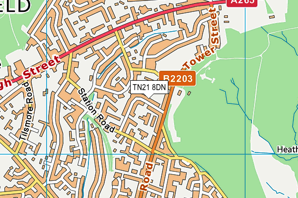 TN21 8DN map - OS VectorMap District (Ordnance Survey)