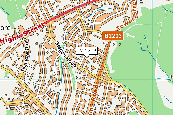 TN21 8DP map - OS VectorMap District (Ordnance Survey)