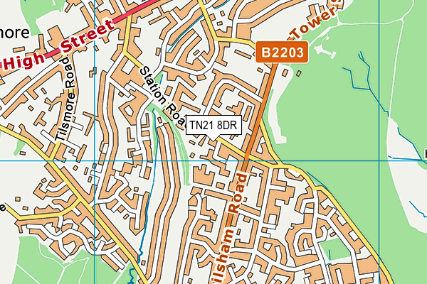 TN21 8DR map - OS VectorMap District (Ordnance Survey)