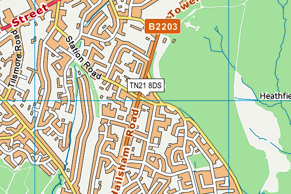 TN21 8DS map - OS VectorMap District (Ordnance Survey)