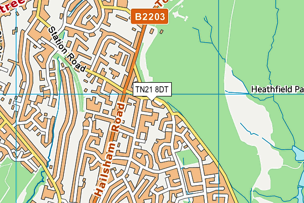 TN21 8DT map - OS VectorMap District (Ordnance Survey)