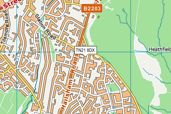 TN21 8DX map - OS VectorMap District (Ordnance Survey)