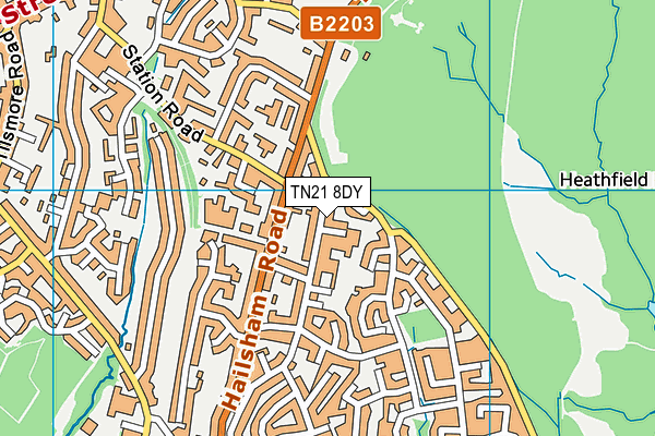 TN21 8DY map - OS VectorMap District (Ordnance Survey)
