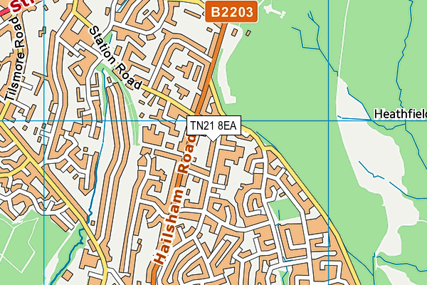 TN21 8EA map - OS VectorMap District (Ordnance Survey)