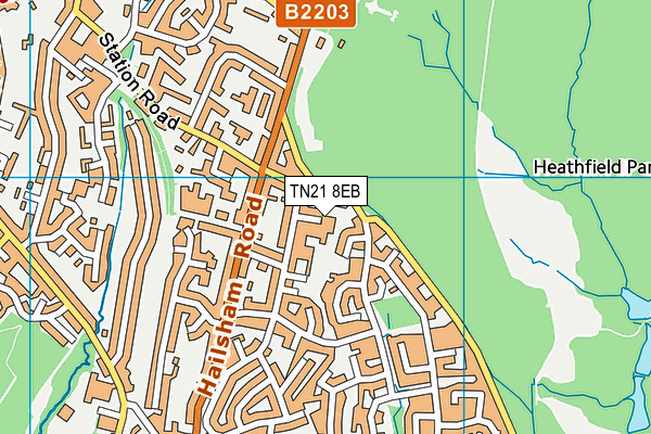 TN21 8EB map - OS VectorMap District (Ordnance Survey)