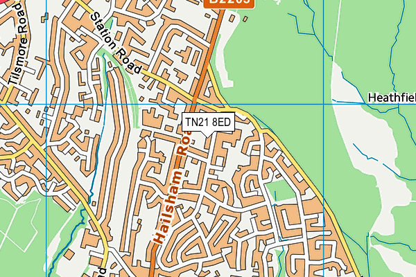 TN21 8ED map - OS VectorMap District (Ordnance Survey)