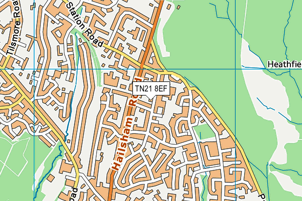 TN21 8EF map - OS VectorMap District (Ordnance Survey)