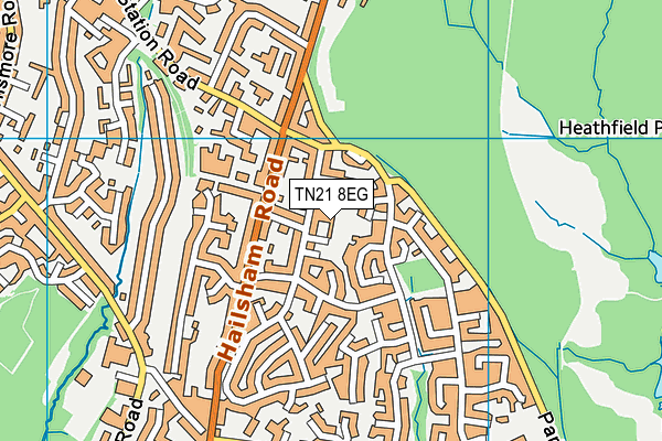 TN21 8EG map - OS VectorMap District (Ordnance Survey)