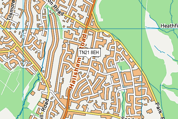TN21 8EH map - OS VectorMap District (Ordnance Survey)