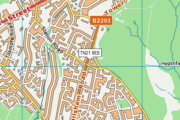 TN21 8ES map - OS VectorMap District (Ordnance Survey)