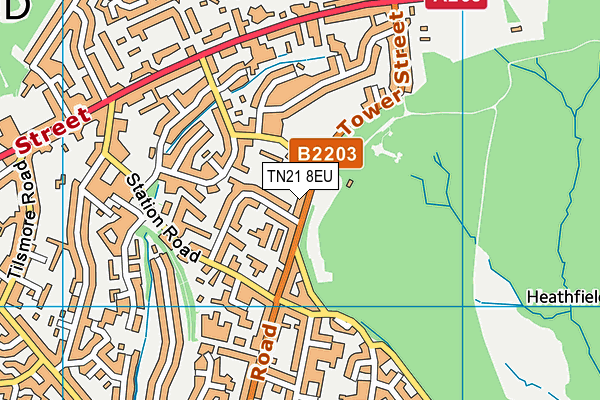 TN21 8EU map - OS VectorMap District (Ordnance Survey)