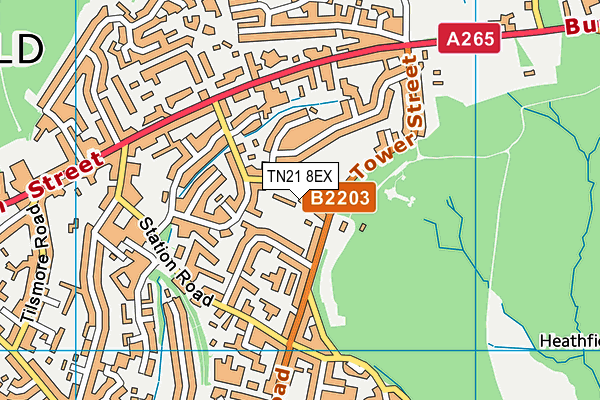 TN21 8EX map - OS VectorMap District (Ordnance Survey)