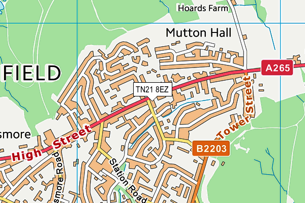 TN21 8EZ map - OS VectorMap District (Ordnance Survey)