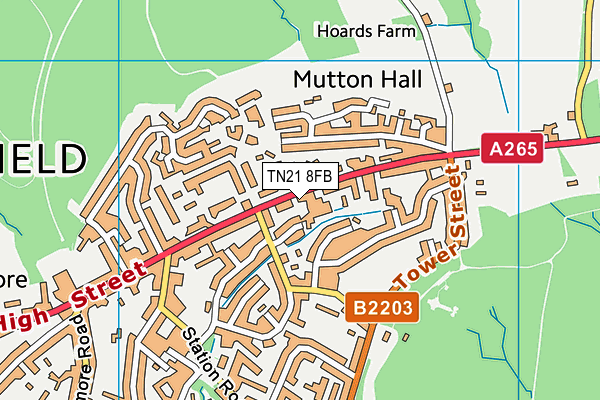 TN21 8FB map - OS VectorMap District (Ordnance Survey)