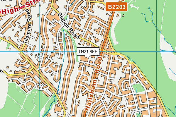 TN21 8FE map - OS VectorMap District (Ordnance Survey)