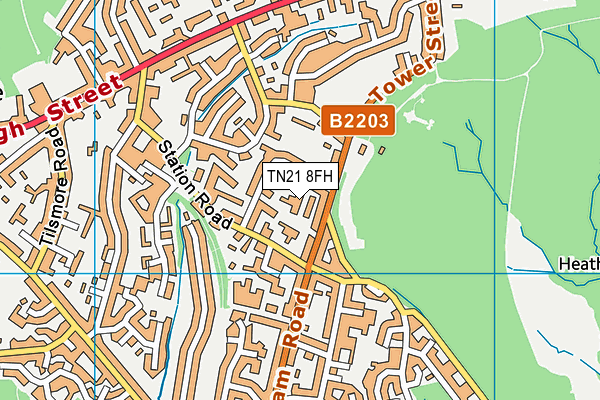 TN21 8FH map - OS VectorMap District (Ordnance Survey)