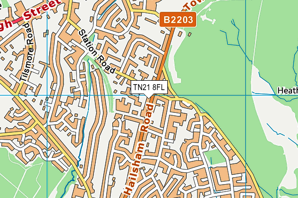 TN21 8FL map - OS VectorMap District (Ordnance Survey)