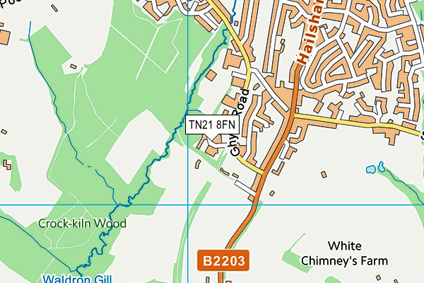 TN21 8FN map - OS VectorMap District (Ordnance Survey)