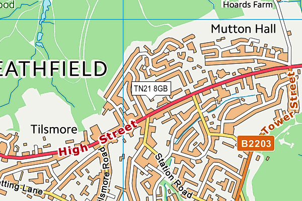 TN21 8GB map - OS VectorMap District (Ordnance Survey)