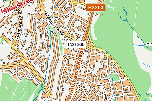TN21 8GD map - OS VectorMap District (Ordnance Survey)