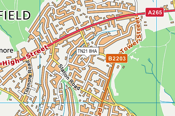 TN21 8HA map - OS VectorMap District (Ordnance Survey)