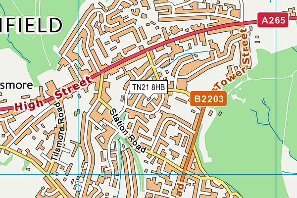 TN21 8HB map - OS VectorMap District (Ordnance Survey)