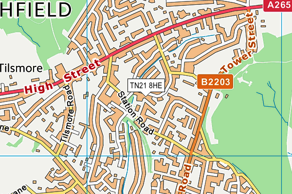 TN21 8HE map - OS VectorMap District (Ordnance Survey)