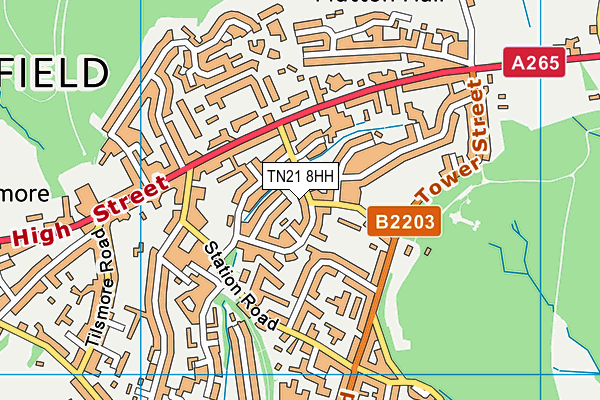 TN21 8HH map - OS VectorMap District (Ordnance Survey)
