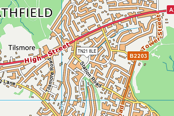 TN21 8LE map - OS VectorMap District (Ordnance Survey)